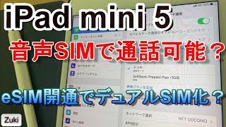 New iPad mini 搭載の「eSIM」を開通してみる！＆ iPad mini 5に音声SIMを挿したら通話出来る？