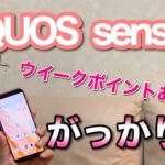 AQUOS sense3（アクオスセンス3）がっかり編です！　ウィークポイントを詳しく解説します