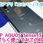AQUOS Sense 3 lite（楽天モバイル専売品）をしばらく使ってみてのお話 人工知能アプリのエモパーも登場！？