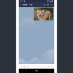 写真動画の送信・方法[LINE/Android]