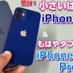 【開封】iPhone12mini ＆ iPhone12ProMax 新iPhone総勢4モデル3サイズを徹底比較！miniはiPhoneSEよりコンパクト？ProMaxご自慢 OISの威力は？？