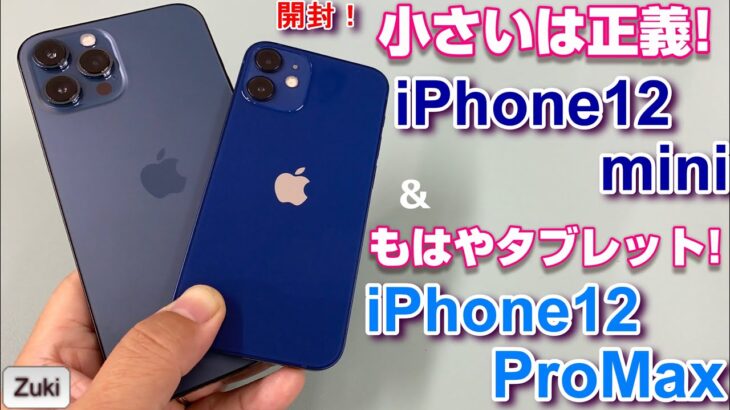 【開封】iPhone12mini ＆ iPhone12ProMax 新iPhone総勢4モデル3サイズを徹底比較！miniはiPhoneSEよりコンパクト？ProMaxご自慢 OISの威力は？？