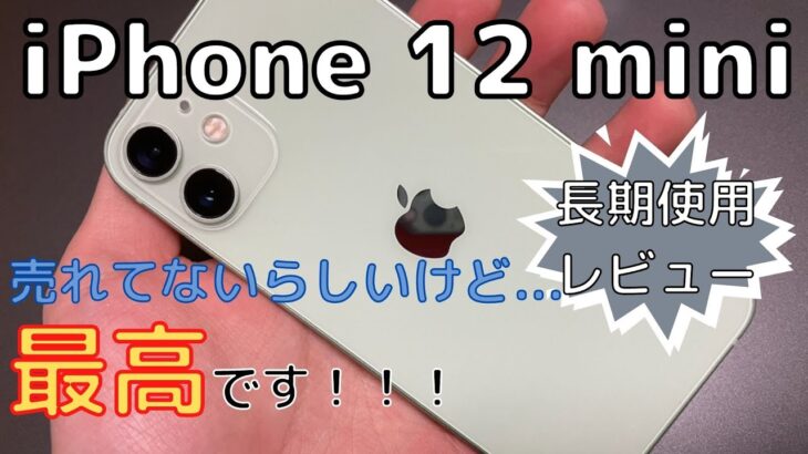 【長期使用レビュー】iPhone12miniは貴重な小型ハイエンド！最高のスマホでした！(良い点・悪い点)