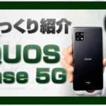 ざっくり紹介【AQUOS sense 5G】カシムラ・スマホ調査団