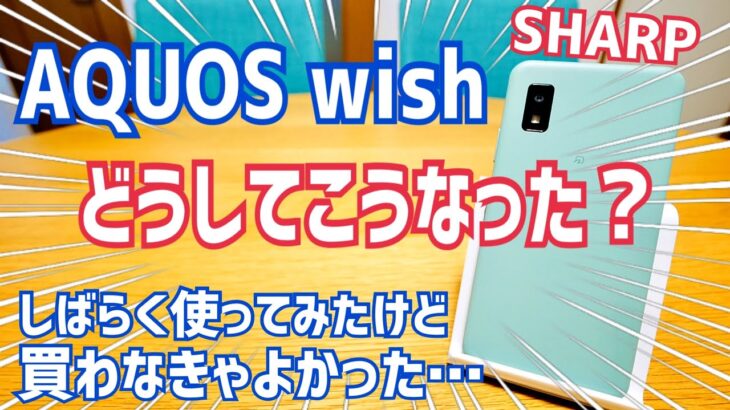 AQUOS wish 買わなきゃよかったと思ったポイント しばらく使ってみた&カメラ編【閲覧注意】