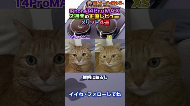 iPhone 14 Pro MAX 正直レビュー 2週間使って感じたメリット #Shorts