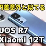 AQUOS R7、Xiaomi 12T Pro どっちがいい？デザイン・サイズ・性能・カメラの画質を比較