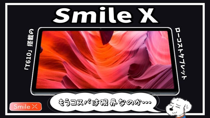 低コスパの限界値！！「Smile X」をレビュー