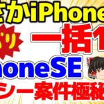【まさかiPhone13！？】一括1円祭り！iPhoneSEも一括1円！メンバーシップ極秘案件をご紹介！ツイッター詐欺が多い！【格安SIMチャンネル】