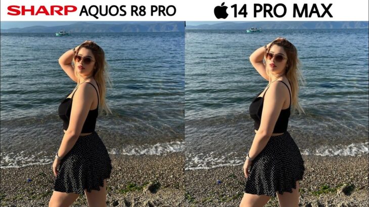Sharp Aquos R8 Pro vs iPhone 14 Pro Max Camera Test
