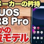 【上位機はいいね！】AQUOS R8 Proをレビュー。日本メーカーの矜持を見せて欲しいですよね