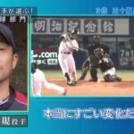 【プロ野球】現役選手が選ぶ この選手がすごいランキング 2014【変化球部門】