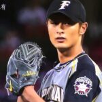 【ダルビッシュ有×前田健太】【本田朋子 平井理央】