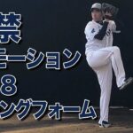 二段モーション解禁 菊池雄星の2018版ピッチングフォーム 埼玉西武 南郷春季キャンプ  スローあり