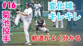 日本最速左腕‼︎変化球がキレキレ！菊池雄星投手のブルペン投球！【西武ライオンズ春野キャンプ2018】