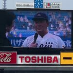 明治大学【2019東京六大学野球春季リーグ戦 】優勝の瞬間 エース兼主将 森下暢仁