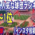 【プロ野球】野球女子に人気な球団ランキング！（インスタグラムの投稿数調べ）5位～1位