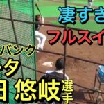 【再アップ】柳田悠岐選手（ソフトバンクホークス)の凄過ぎるフルスイング！打撃練習＆打席時