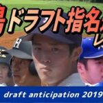 広島カープ ドラフト2019 森下ら新人・育成９選手レポート