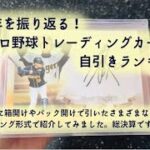 【雑談】2019年を振り返る！プロ野球トレーディングカード自引きランキング