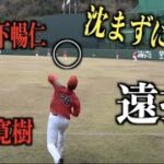 めっちゃ伸びる！黄金ルーキー森下暢仁と昨年７勝の床田寛樹のキャッチボールがレベル高すぎ【広島東洋カープ】