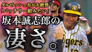 ダルビッシュが大絶賛した坂本誠志郎の凄さが分かる動画。