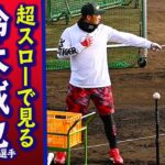 【打者必見！】日本の４番 鈴木誠也選手 スーパースローで見るスイング 2020自主トレ編 Seiya SUZUKI