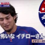 NO 1打者イチロー対NO 1投手ダルビッシュの対戦 イチローさんは怖いな