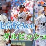 【甲子園】東北高校Ace — ダルビッシュ有丨Yu Darvish Koshien