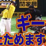 【猛打賞】柳田悠岐『ギータ、あたためますか？』