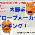 プロ野球全内野手のグローブメーカー使用者数ランキング！！