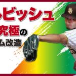 ダルビッシュ！超一流のフォーム改造：Jバンド・トレーニング紹介