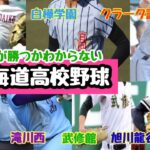 【高校野球】北北海道高校野球 勢力分布 ランキング（旭川大・クラーク記念国際・白樺学園・滝川西・旭川実業・武修館・旭川龍谷）