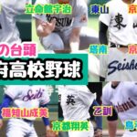 【高校野球】京都府高校野球 勢力分布 ランキング（龍谷大平安・立命館宇治・東山・京都国際・京都翔英・京都外大西・乙訓・福知山成美・京都成章・京都共栄学園・鳥羽・塔南）