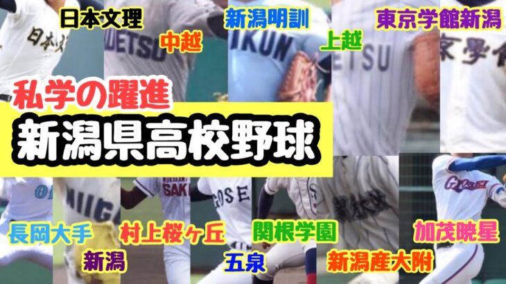 【高校野球】新潟県高校野球　勢力分布　ランキング（日本文理・中越・新潟明訓・北越・東京学館新潟・加茂暁星・新潟産業大学附属・関根学園・村上桜ヶ丘・五泉・新潟）