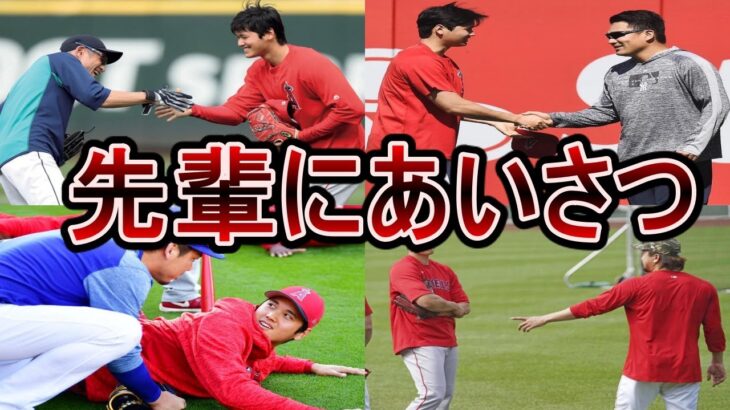 【大谷翔平】イチロー・田中将大にあいさつ！先輩達への挨拶まとめ！誰とでも楽しそうに会話！Shohei Ohtani