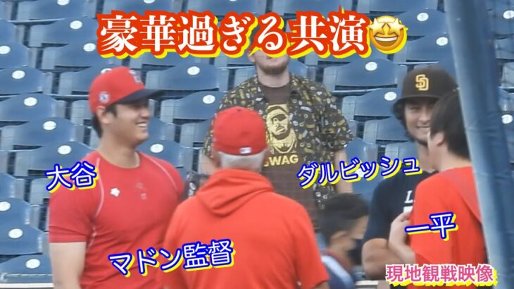 大谷翔平のお喋りが止まらない‼️ダルビッシュ先輩にご挨拶、そこにマドン監督も🤩【現地映像】