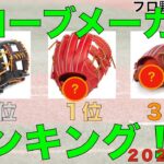 プロ野球グローブメーカー使用選手数ランキング【2021年度版】