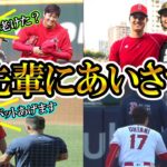 【大谷翔平】先輩への挨拶まとめ！最新版！イチロー、ダルビッシュに笑顔であいさつShohei Ohtani