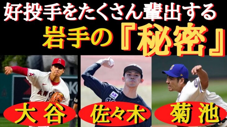 【最強】岩手から怪物投手が生まれる３つの理由〜野球王国・岩手には怪物選手を育てる土壌があった〜【大谷翔平、佐々木朗希、菊池雄星、花巻東高校・佐々木洋監督】