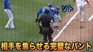 ソトを焦らせる完璧な送りバントを決めてしまう森下暢仁