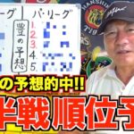 【後半戦の順位をガチ予想‼︎】”豊の分析”交流戦を終えて後半戦の各チームの課題と展望を語ります！【プロ野球ニュース】