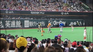 プロ野球オールスターゲーム2022 野球場へゆこう