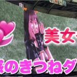 【魅惑のダンス】パリーグ球団チア選抜 あざとい美女達による可愛いきつねダンス(清宮幸太郎キツネいます)〜マイナビオールスター2022〜