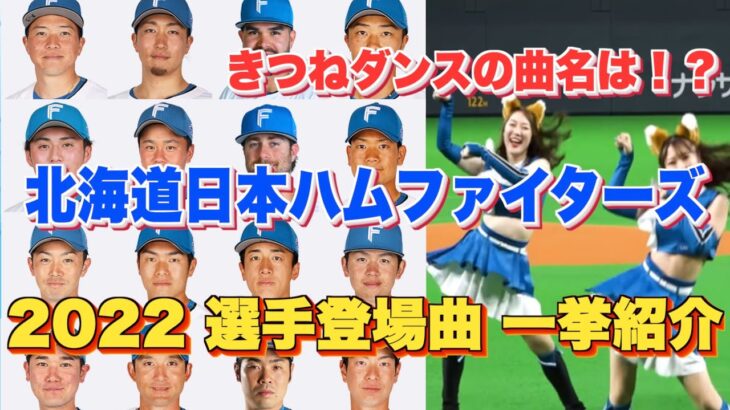 【プロ野球】北海道日本ハムファイターズ 2022年シリーズ、選手が登場曲に使用している曲・アーティストを一挙ご紹介【まとめ・ランキング・雑学】