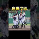 北北海道高校野球の強豪校#甲子園 #選手権 #ランキング #勢力図 #強さ