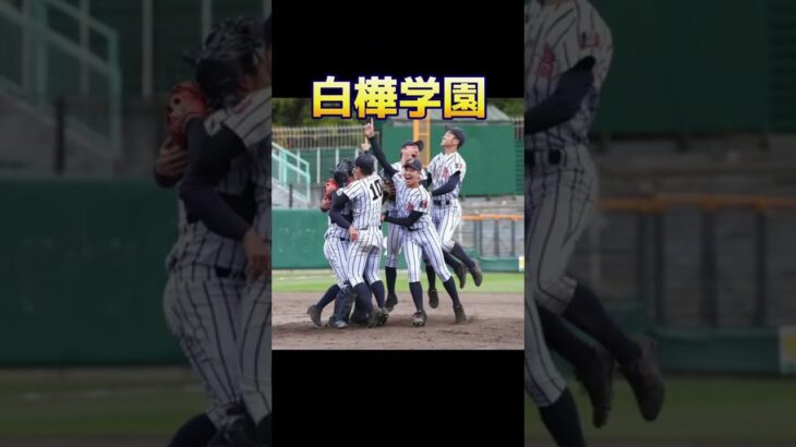 北北海道高校野球の強豪校#甲子園 #選手権 #ランキング #勢力図 #強さ