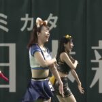 2022  プロ野球オールスター ／ きつねダンス