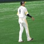 【鬼肩披露🥹】ホークス柳田悠岐🥹レーザービームで球場を沸かせるの巻☺️☺️2022.8.13