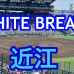 【近江】WHITE BREATHブラバン甲子園 応援歌 2022夏 第104回全国高校野球選手権大会